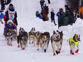 Musher Mille Porsild of Denmark steers her sled down a hill in Anchorage during the ceremonial start of the 2020 Iditarod Trail Sled Dog Race on March 7, 2020.