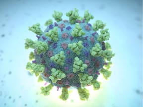 FILE PHOTO: A computer image created by Nexu Science Communication together with Trinity College in Dublin, shows a model structurally representative of a betacoronavirus which is the type of virus linked to COVID-19, better known as the coronavirus linked to the Wuhan outbreak, shared with Reuters on February 18, 2020.