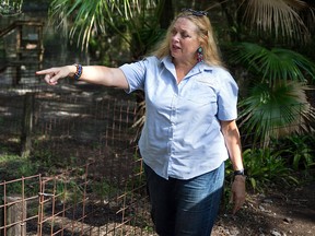 In this July 20, 2017, file photo, Carole Baskin, founder of Big Cat Rescue, walks the property near Tampa, Fla.