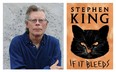 Author Stephen King. (Shane Leonard)