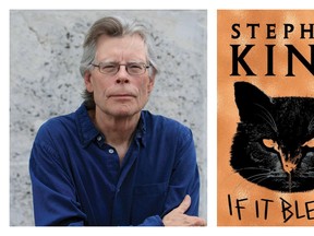 Author Stephen King. (Shane Leonard)