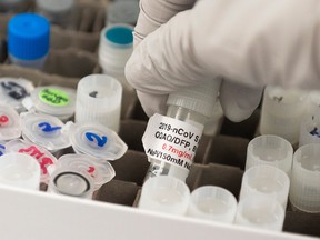 In this file photo Dr. Nita Patel, director of antibody discovery and vaccine development, lifts a vial with a potential coronavirus, COVID-19, vaccine at Novavax labs in Rockville, Md., on March 20, 2020, one of the labs developing a vaccine for the coronavirus, COVID-19.