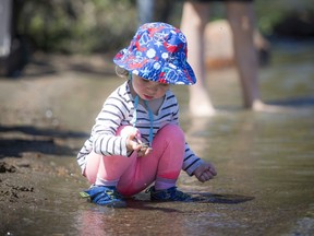Malina Clement-Drabik, 21 months, plays at the edge of Meech Lake in Gatineau Park on Saturday