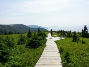 On your trip to Nova Scotia take a walk along the skyline trail on Cape Breton Island.