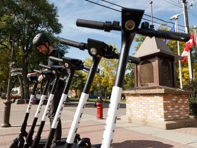 A lineup of neatly parked e-scooters: Will Ottawans obey the rules?