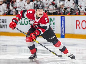 Defenceman Noel Hoefenmayer played five seasons for the 67's after being a second-round pick in the Ontario Hockey League draft.