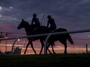 Preparations continue at Woodbine as the thoroughbred track is scheduled to open its delayed 2020 meet on June 6, 2020.