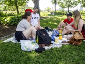 From left, Kathleen Chandler, Gareth Rurak, Tyler Seal and Lisa Westlund spent Canada Day enjoying a picnic and games in Major's Hill Park.