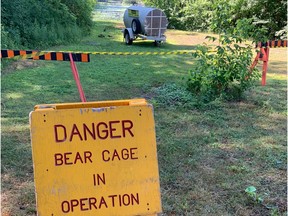 The NCC has cordoned off a portion of its Mud Lake Conservation Area as it attempts to trap a wayward black bear that's been spotted in the popular nature spot over the past couple of weeks.