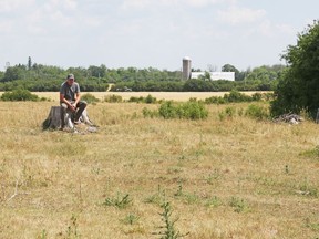 Wes Thom operates a cash crop and dairy farm near Almonte.