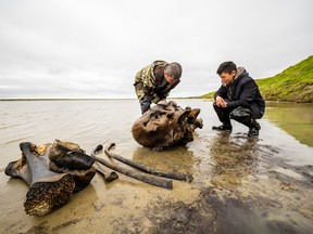 Specialists discover mammoth bones along the shore of Pechevalavato Lake in the Yamalo-Nenets autonomous district, Russia July 22, 2020.