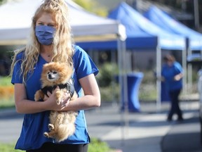 A veterinary technician carries a dog from a vehicle to be vaccinated at a drive-through pet clinic at Mission Viejo Animal Services Center on June 23, 2020 in Mission Viejo, California.