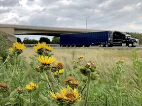 Traffic flows on Highway 401 by the North Augusta Road overpass, near the westbound onramp, on Monday afternoon, near the place where a Houston man fell to his death in a police-involved incident on Saturday