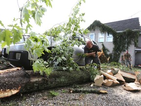 A man clears wood from around a vehicle that narrowly missed being destroyed by a fallen tree in Camden East on Sunday. Several trees were toppled during an extreme weather event that hit the community.