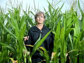 OTTAWA - AUG 4, 2020 - Dr. Lenore Fahrig is a Carleton University biology professor who recently published a paper stating that smaller agricultural crop fields will reduce the loss of biodiversity without hugely impacting the farmers.