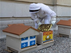 Thirteen beehives — one for each province and territory — now sit atop the Senate of Canada Building, offering homes to 750,000 honey bees. The beehives are managed by staff from the nearby Fairmont Château Laurier as part of a joint sustainability project launched last year.