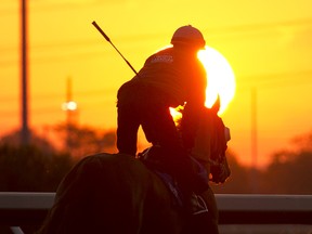 Thoroughbreds Ruggero and Mary of Scotts were both killed as the result of separate incidents on Sunday, Aug. 2, at Woodbine Racetrack in Toronto.