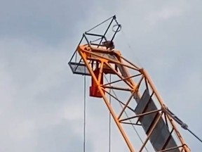 A raccoon atop a construction crane at Peter St. and Adelaide St. W. on Monday, Aug. 10