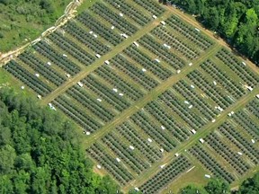 Aerial view of marijuana fields in Tyendinaga Township.