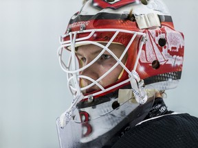 Ottawa Senators goaltender Filip Gustavsson.