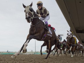 .Jockey Daisuke Fukumoto guides Mighty Heart (brown and beige cap silks) to victory in the $1,000,000 Queen's Plate Stakes for owner Lawrence Cordes. Hall of Fame trainer Josie Carroll captures her third Queen's Plate victory.