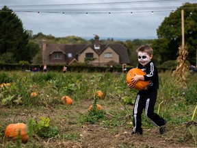 A young boy carries a pumpkin.