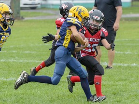 A Cornwall Wildcats defender zeroes in on his target during a 2015 game against the West Carleton Wolverines.