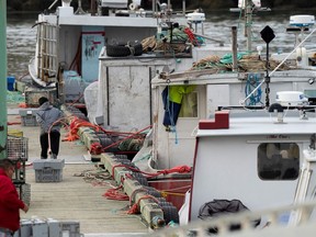 Mi'kmaq fishermen prepare their fishing gear to leave the harbour and participate in the Indigenous lobster fishery in Saulnierville, Nova Scotia, Canada October 20, 2020.
