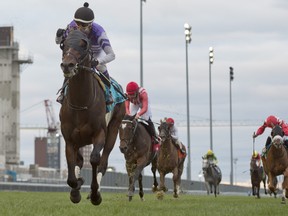 Jockey Luis Contreras guides Belichick to victory in the $400,000 Breeders' Stakes at Woodbine. Belichick (purple silks black cap), is trained by Hall of fame trainer Josie Carroll and groomed by Mike Pajak. Belichick captured the third leg of the Canadian triple crown for owner LNJ Foxwood.