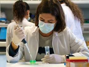 A researcher at the Institute of Molecular Biology and Genetics (IBGM) of the University of Valladolid (UVa) works on searching a vaccine against COVID-19 on November 10, 2020.