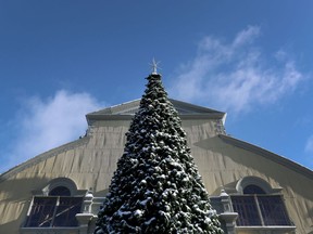 Files:A Christmas tree at Lansdowne Park on Monday, Nov 23, 2020.