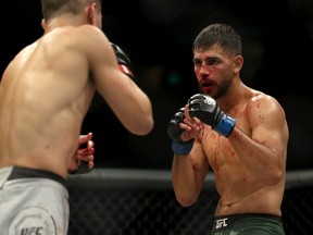 Yair Rodriguez, right, fights Chan Sung Jung of Korea in their Featherweight bout during the UFC Fight Night 139 at the Pepsi Center on Nov. 10, 2018 in Denver, Col.