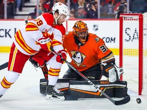 Anaheim Ducks goaltender Ryan Miller (30) guards his net against Calgary Flames centre Dillon Dube (29) during the first period at Scotiabank Saddledome.