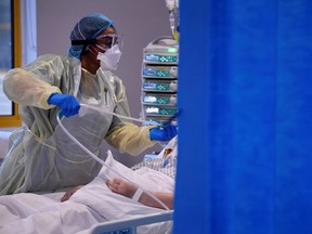 FILE: A COVID-19 patient receives treatment from a healthcare worker in an ICU.