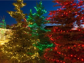 Outdoor Christmas lights in November 2020.