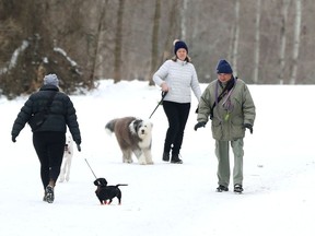 Two people walk their dogs at Conroy Pit in Ottawa on Tuesday.