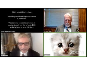 Lawyer Rod Ponton appears with a kitten filter turned on during a virtual hearing of the 394th District Court of Texas, U.S. February 9, 2021 in this still image taken from video.