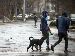 OTTAWA -- March 28, 2021 -- More wet weather hit the capital Sunday, March 28, 2021.