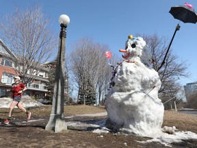 Dustin Gavin runs in shorts and t-shirt past a giant snowman along the canal in Ottawa Monday. The giant snowman was built on January 16th and has lasted 66 days so far. An umbrella is not going to help the poor snowman over the next few days.