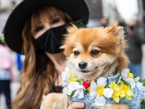 FILE: A woman holds a very good dog in an Easter costume.