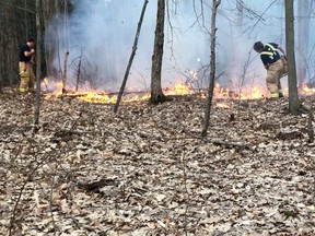 Ottawa Fire Services attended the scene of a brush fire in the forest behind Springcreek Crescent in Kanata, on Thursday April 8.