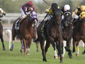 Horse racing is an outdoor sport but has been shut down, while the province allows other outdoor activities such as golf to continue.