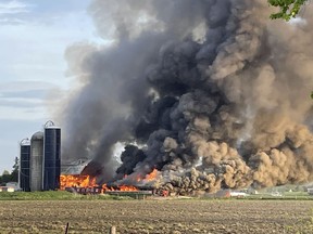 A fire rages at an agricultural building on First Line Road near Century Road on Thursday, May 20, 2021.