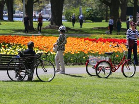 The crowds showed up at Dow's Lake for the Tulip Festival, May 14, 2021. Jean Levac/Postmedia