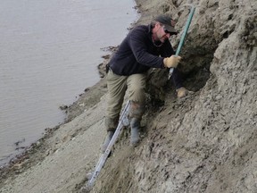 This undated image courtesy of Patrick Druckenmiller shows researcher Greg Erickson excavating along the Colville River, northern Alaska.