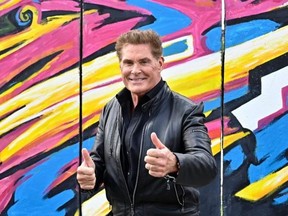 US actor and singer David Hasselhoff