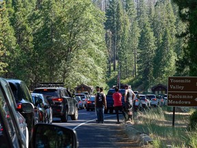 Traffic forms at the Big Oak Flat entrance as visitors arrive for the Fourth of July weekend in Yosemite National Park, California, U.S., July 2, 2021.