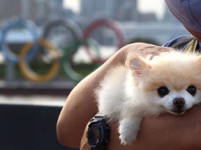 Dog Mae rests in his owner's arm, in front of the Olympic Rings during sunset, three days ahead of the official opening of the Tokyo 2020 Olympic Games, in Tokyo, Japan, July 20, 2021.