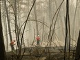 Firefighters from Romania spray water at a burned forest to prevent new fires in Avgaria village on Evia island, on Aug. 10, 2021 in Evia, Greece.