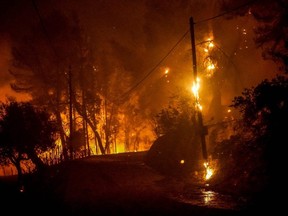 Flames engulf the forest near ancient Olympia in western Greece on Wednesday, Aug. 4, 2021.